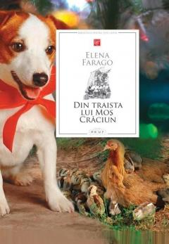 2-5 ani - Din traista lui Mos Craciun