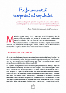Explorez culorile cu Montessori - In Romana si in Engleza - 163 de jetoane pentru dezvoltarea vocabularului si a creativitatii [1]