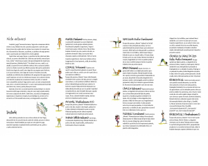 Sunt Yoga [7]