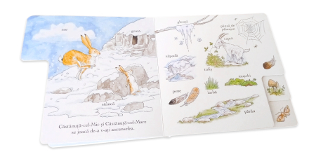 Ghici cât de mult te iubesc. Să descoperim natura [3]