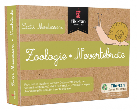 Știință si natură - Lectii Montessori - Zoologie. Nevertebrate