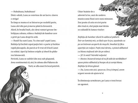 Luna si padurea magica. Bufnita cu o cheie in cioc vol I [4]