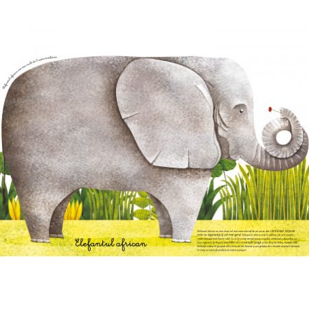 Marea carte a animalelor uriase si Carticica animalelor mici [6]
