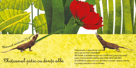 Marea carte a animalelor uriase si Carticica animalelor mici [9]
