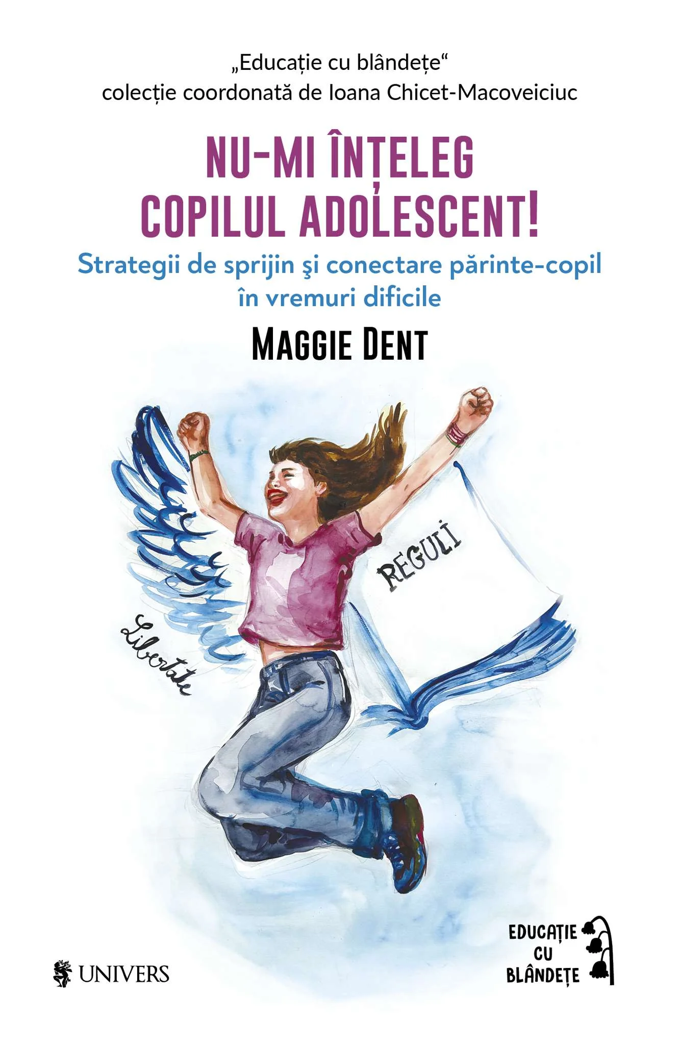Cărți - Nu-mi înțeleg copilul adolescent!