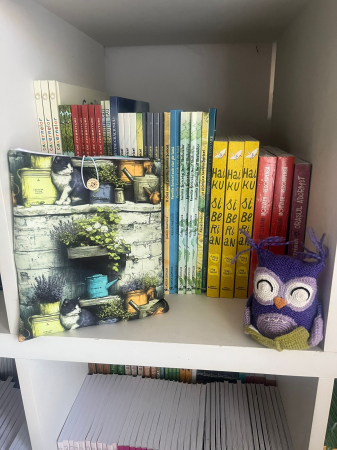 Set carte Îmi pare rău! + husă de carte cu pisici [2]