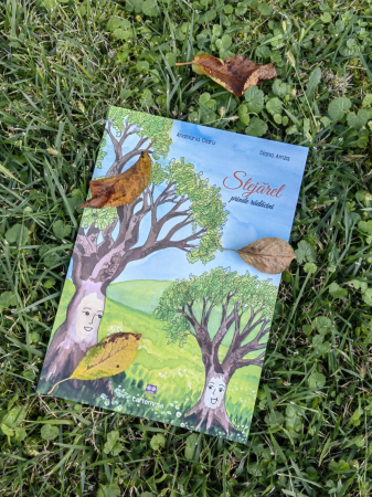 Pachet de 20 de carti Cartemma [13]