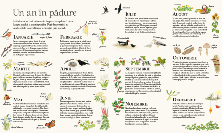 Pădurea lui Șoricel [8]