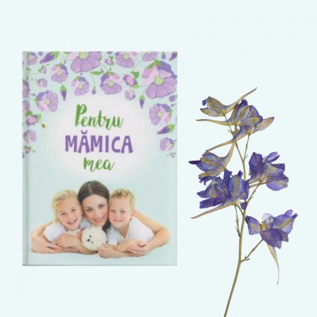 Editura Kreativ - Pentru mamica mea 1