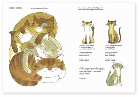 Prietenele noastre, animalele [2]