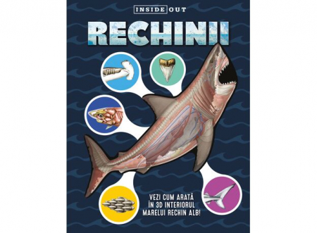 Editura Kreativ - Rechinii - model 3D