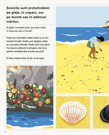 Secretele scoicilor [1]