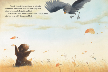 Somn usor, vise placute [3]