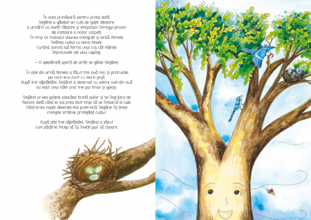 Stejărel prinde rădăcini [4]