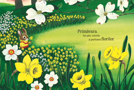 Sunt un iepuraș [2]