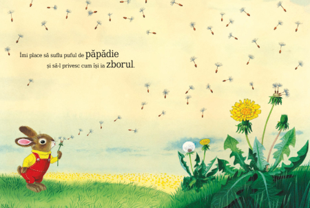 Sunt un iepuraș [5]