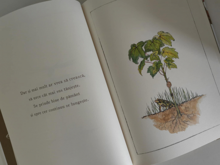 Totul incepe cu o samanta [5]