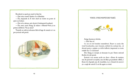 Vară în Pădurea Mare [7]