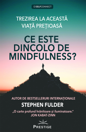 Ce este dincolo de Mindfulness? de Stephen Fulder [1]