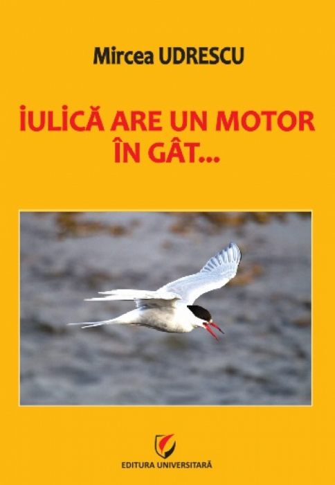 Iulica are un motor in gat...