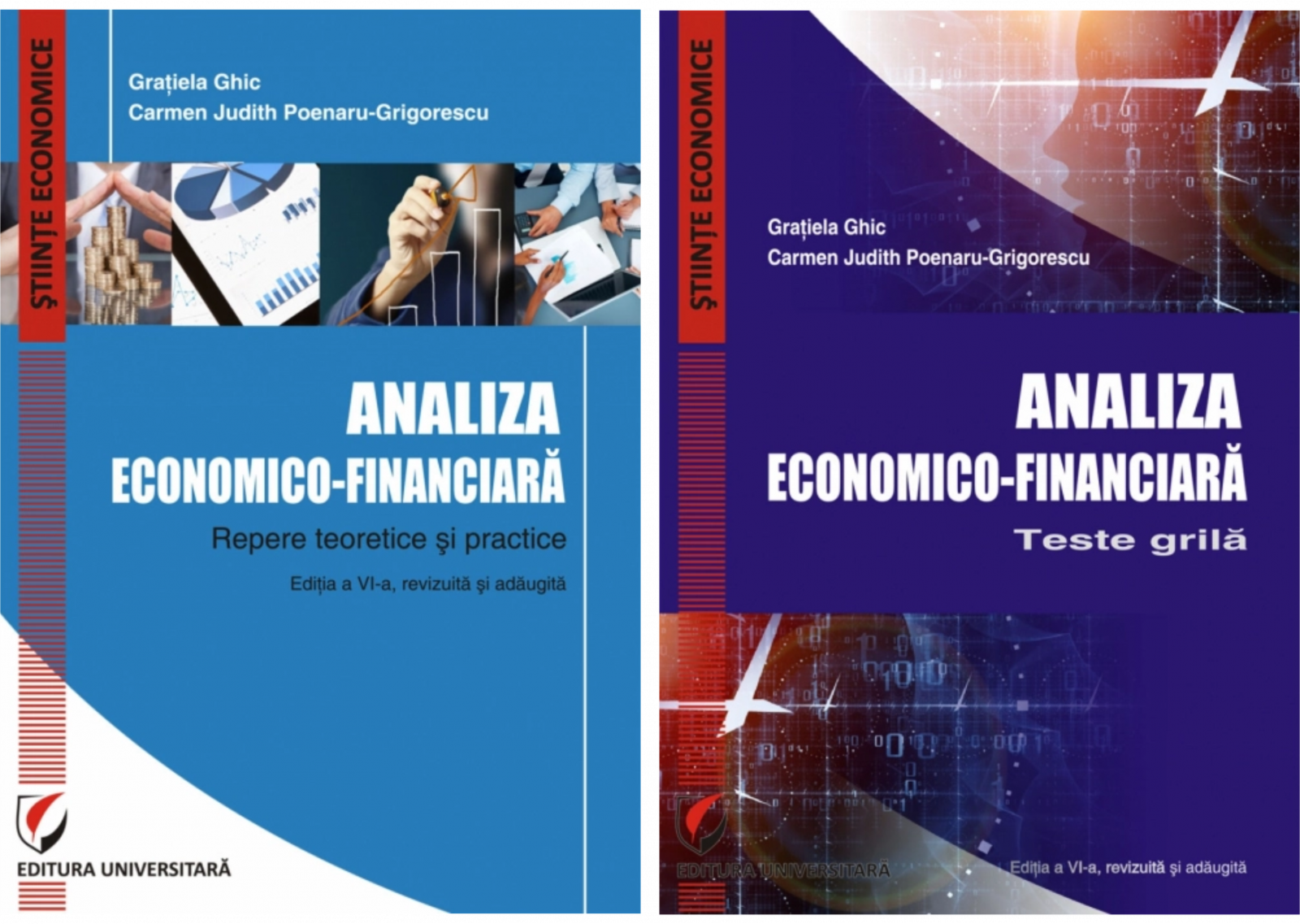 Set: Analiza economico-financiara. Repere teoretice si practice + Analiza economico-financiara. Teste grila