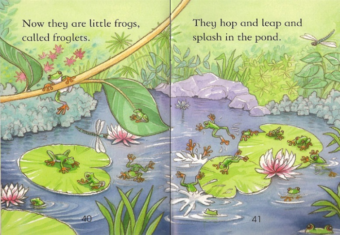 Frogs [3]