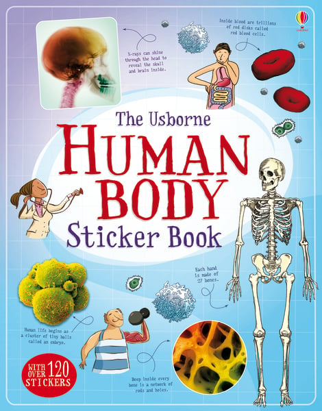 Human body sticker book [1]