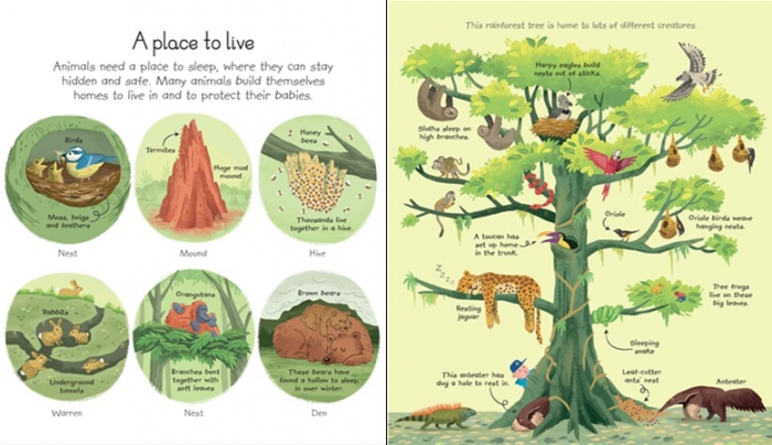 My very first animals book [3]