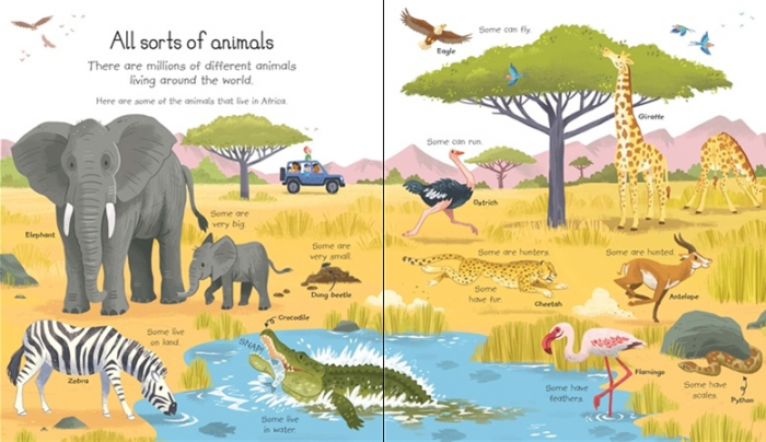 My very first animals book [2]