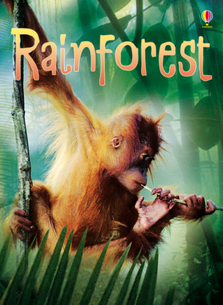Rainforests [1]