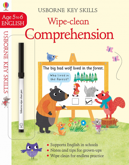 Wipe-clean comprehension 5-6 [1]