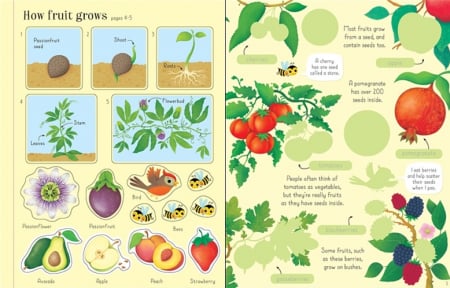 First sticker book Fruit and vegetables [1]