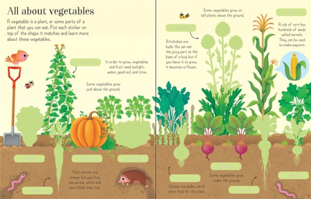 First sticker book Fruit and vegetables [2]