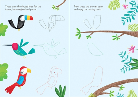 Little wipe-clean animals to copy and trace [2]