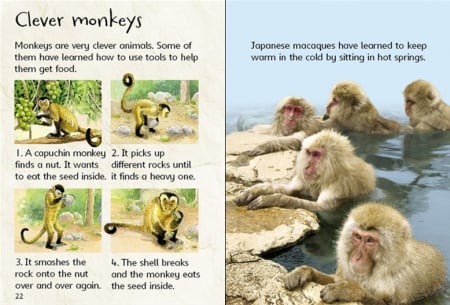 Monkeys [2]