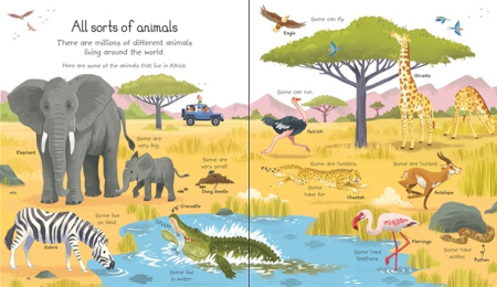 My very first animals book [1]