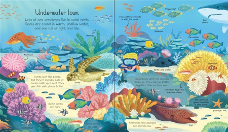 My very first animals book [3]