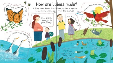 Where do babies come from? [2]