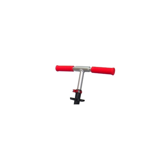 Trotineta R-Sport H4 [4]