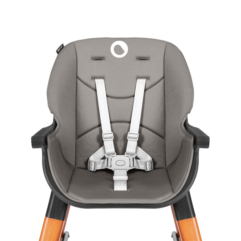 Scaun de masa Mona 4 in 1 Transformabil - Lionelo [13]