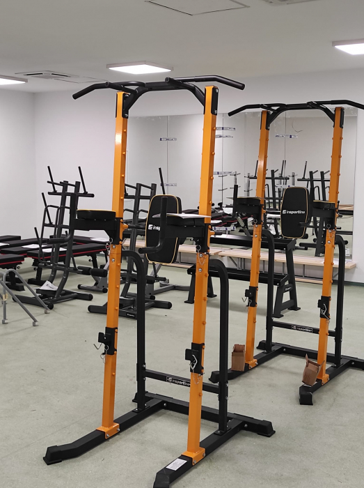 Aparat Multifunctional inSPORTline Power Tower PT250 [21]