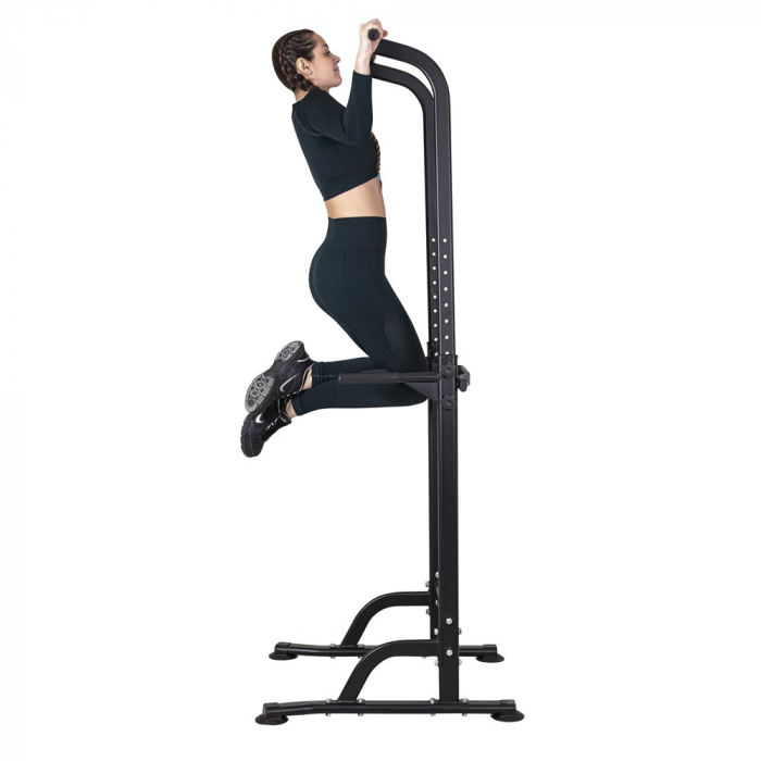 Aparat multifunctional Power Tower PT60 [6]