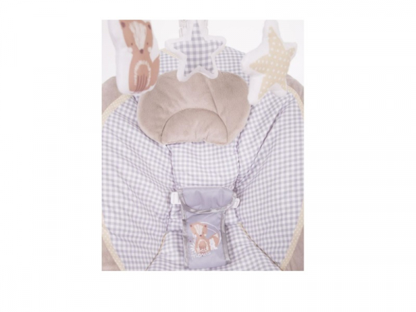 Balansoar bebelusi Coconut Friend Grey [3]