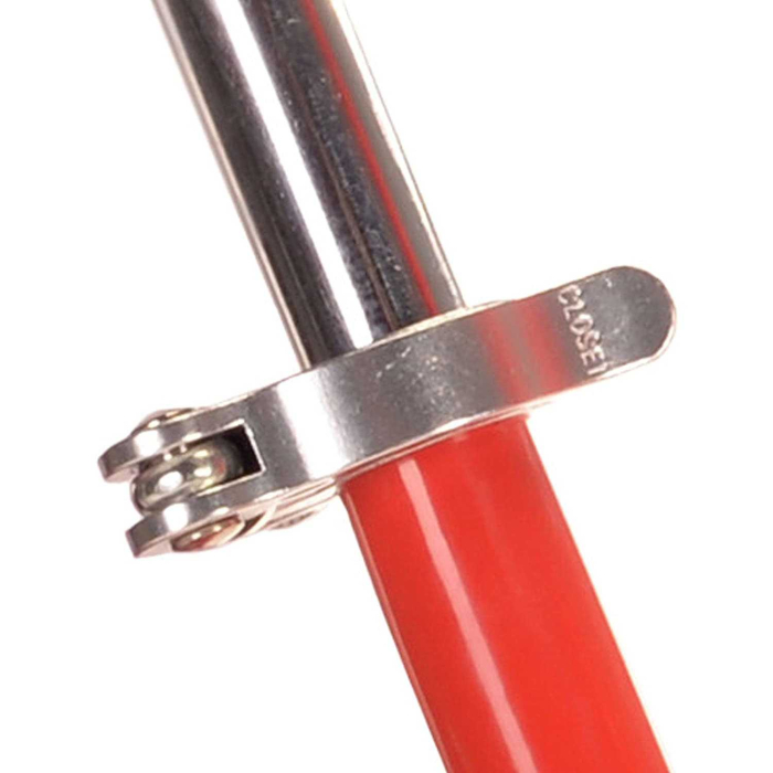 Bicicleta fara pedale 10 inch Learn 2 Ride WeeRide WR12R [6]