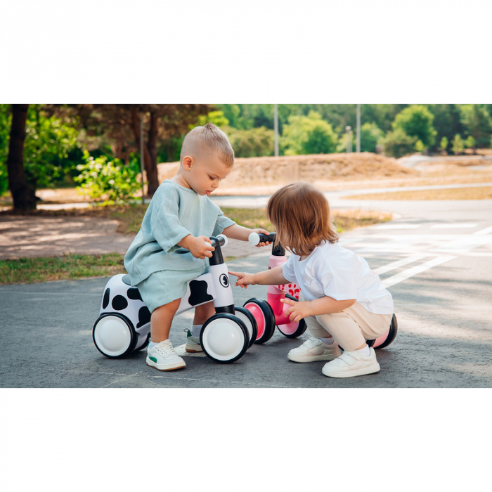 Bicicleta fara pedale Lionelo Sammy 12- 36 luni [36]