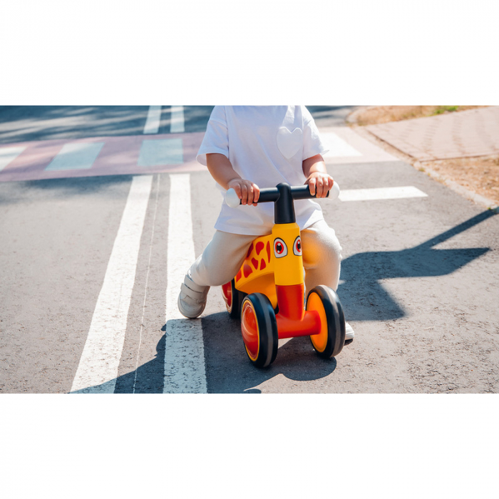Bicicleta fara pedale Lionelo Sammy 12- 36 luni [17]