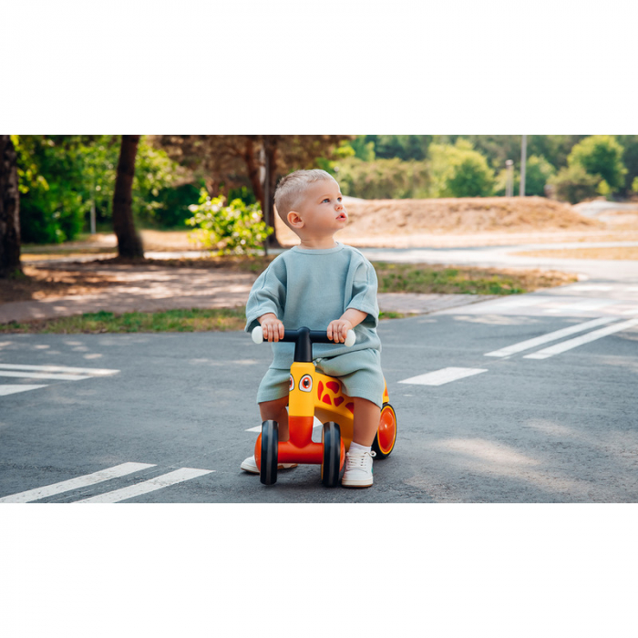 Bicicleta fara pedale Lionelo Sammy 12- 36 luni [30]