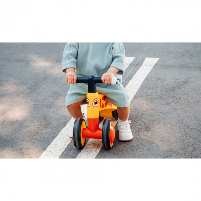Bicicleta fara pedale Lionelo Sammy 12- 36 luni [27]