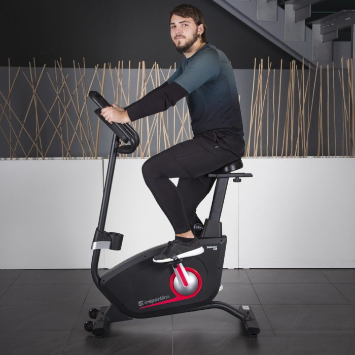 Bicicleta Fitness inSPORTline Delavan UB [4]