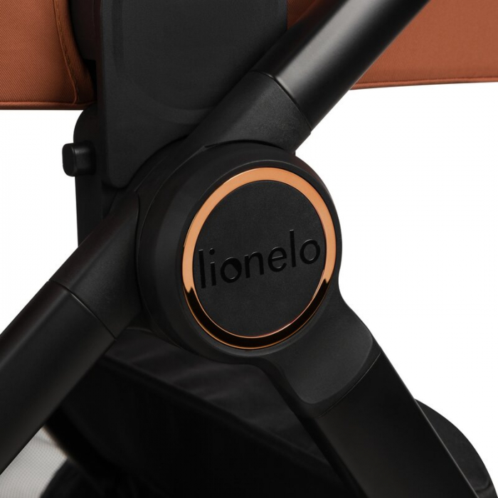 Carucior 2 in 1 Lionelo Layla pana la 22 kg [33]